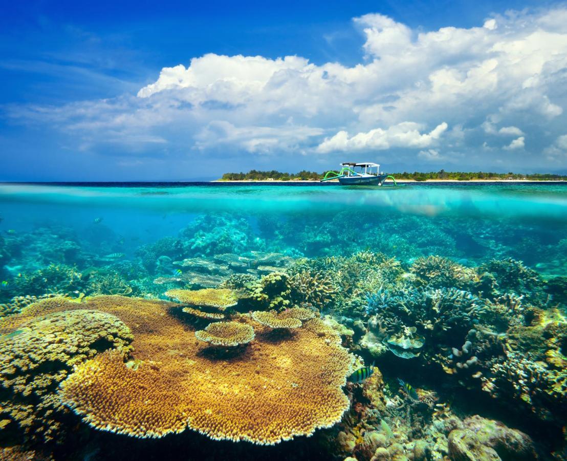 Divine Divers Gili Meno Exteriör bild